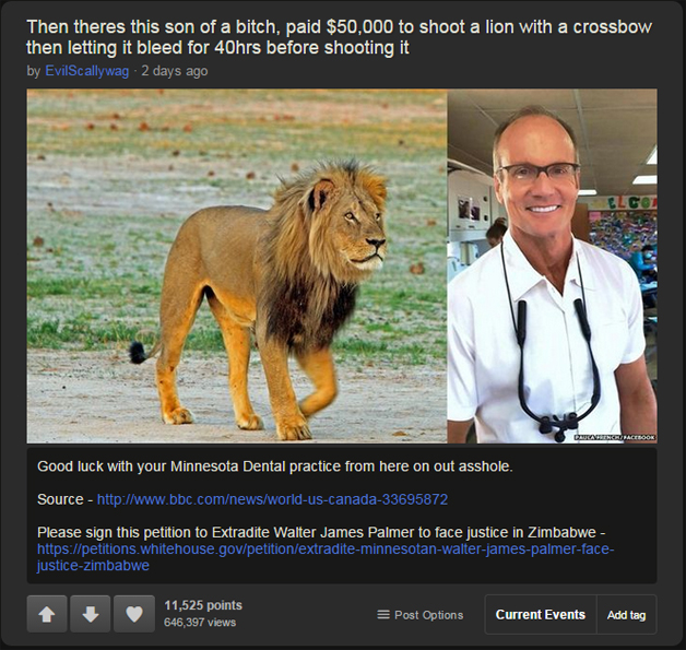 Cecil The Lion 11