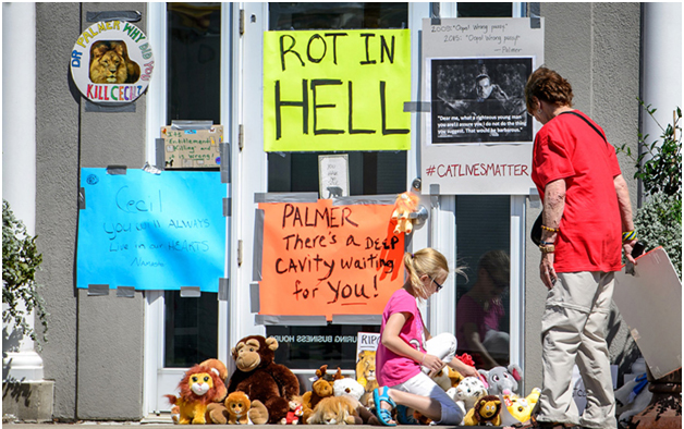 protesters of dentist who killed Cecil The Lion