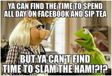 miss piggy divorce