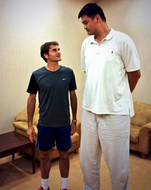 roger federer and yao ming