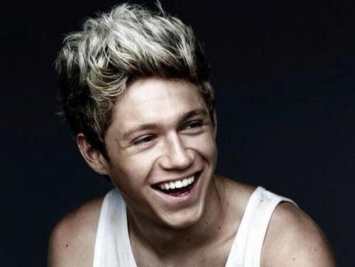 Niall Horan net worth 3