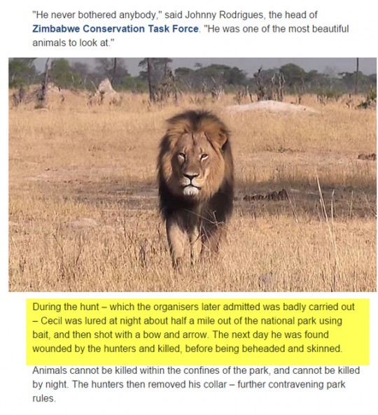 RIP Cecil The Lion: 11 Photos That Will Remind the Killer He Made the ...