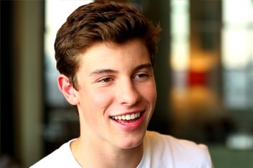 Shawn Mendez statistics 3